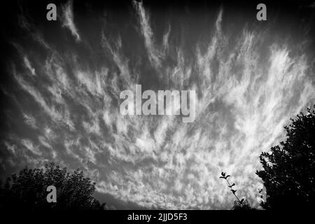 Schwarzweiß-Bild einer außergewöhnlichen Darstellung der Cirrus Cloud an einem frühen Juliabend in Großbritannien Stockfoto