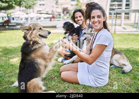 Mann und Frau Paar lächeln selbstbewusst auf Kraut mit Hunden im Park sitzen Stockfoto