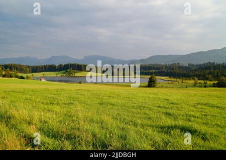 Wanderweg mit Blick auf den malerischen Attlesee in den bayerischen Alpen, Nesselwang, Allgäu oder Allgau, Deutschland Stockfoto