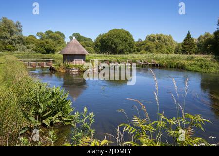 Reetgedeckte Fischerhütte am River Test, Longstock, Stockbridge, Hampshire, England, Vereinigtes Königreich, Europa Stockfoto