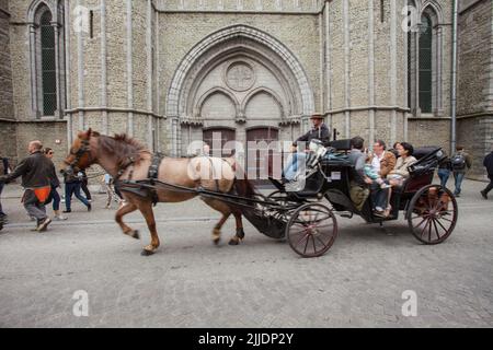 Brugges, Belgien, Touristen, die eine Kutschfahrt machen, Besichtigung der Altstadt Stockfoto