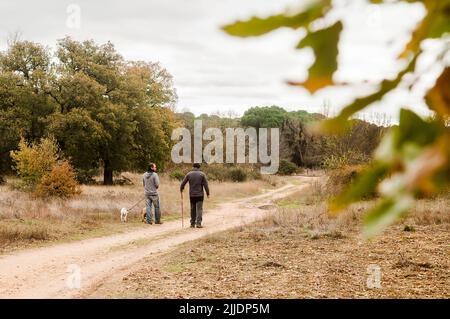 Zwei Erwachsene Männer gehen mit ihren Hunden, während sie an einem schönen nebligen Herbsttag auf einem Landweg plaudern. Stockfoto