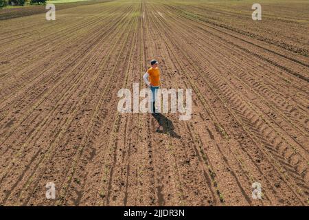 Luftaufnahme einer Farmerin, die auf dem Maiskeimfeld steht und Feldfrüchte untersucht. Landarbeiter mit Truckerhut und Jeans auf Plantage von Drohne p Stockfoto