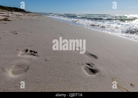 Spuren im nassen Sand Stockfoto