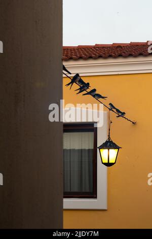 Blick auf viele Schwalben auf Draht zwischen traditionellen ägäischen Häusern und Straßenlaterne, die in der berühmten, touristischen ägäischen Stadt Alacati eingefangen wurden. Es ist ein Vergehen Stockfoto