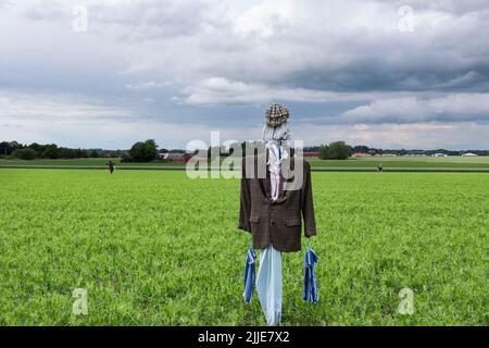 vogelscheuche in einer Jacke, Mütze und Hose mit anderen Vogelscheuchen vor einem stürmischen Himmel auf einem Bauernfeld. Eine Vogelscheuche in einem schicken Halloween Kostüm treibt einen an Stockfoto