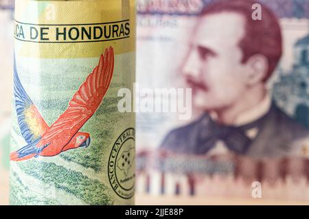 Währung von Honduras, Eine zusammengerollte Banknote von 200 Lempira mit Ara-Papageien und der höchsten 500-Stückelung des Landes, Wirtschafts- und Geschäftskonce Stockfoto