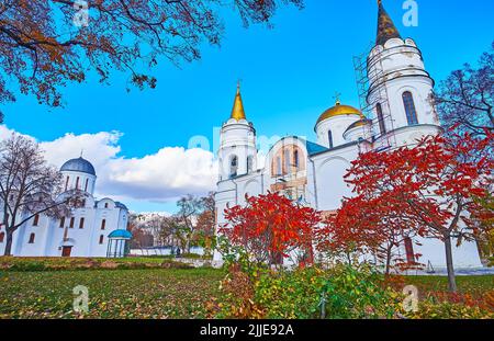 Leuchtend rote Herbsttauchhornsumakbäume und grüner Rasen mit gefallenen Blättern vor der Verklärung-Kathedrale und der Kathedrale von Borys und Hlib, Tschernihiv Stockfoto