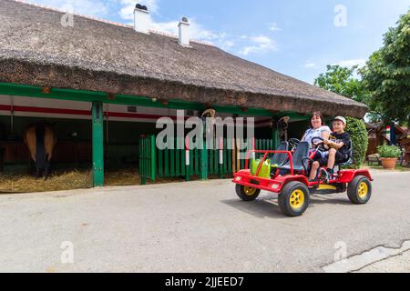 Mutter und Sohn radeln auf dem Vierrad in der Nähe des Pferdestalls in Radpuszta, Balaton, Balatonlelle, Ungarn Stockfoto