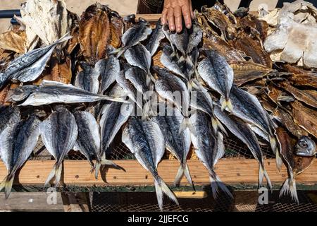 Nazare in Portugal, gesalzene Fische werden am Strand verkauft, traditioneller Marktstand Stockfoto