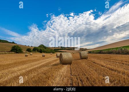 Heuballen auf einem Feld in den South Downs an einem Sommerabend Stockfoto