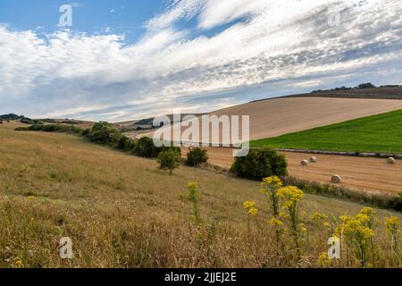 Ein ländlicher Sussex-Blick über Ackerland im Sommer Stockfoto
