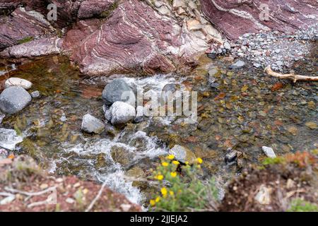 Nahaufnahme des Red Rock Canyon im Waterton Lakes National Park, Alberta, Kanada Stockfoto