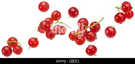 Rote Johannisbeere isoliert auf weißem Hintergrund Stockfoto