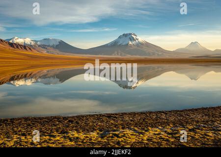 Spiegelung des Lejia-Sees und schneebedeckte Vulkane bei Sonnenaufgang, Atacama, Chile Stockfoto