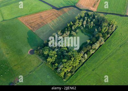 Teich im Wald in Feldlandschaft, Luftaufnahme, Belgien, Flandern Stockfoto