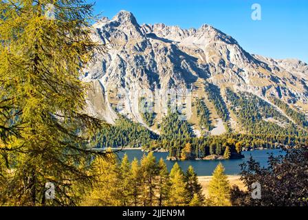 Herbstlandschaft am Sillersee, Schweiz, Graubünden, Oberengadin Stockfoto