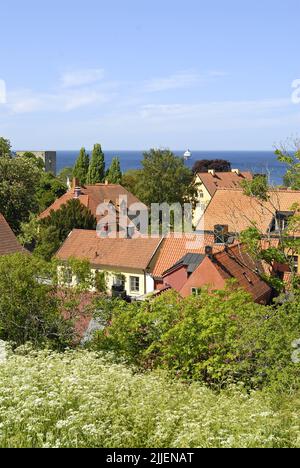 Blick über die roten Dächer der Hafenstadt Visby, Schweden, Gotland Stockfoto