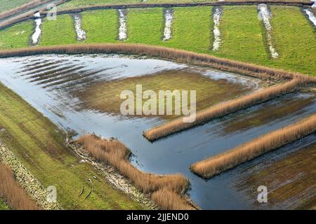 Uitkerkse Polder, Luftaufnahme, Belgien, Flandern, Blankenberge Stockfoto