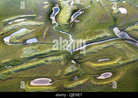 Het Zwin, verschlammte alte Flussmündung in die Nordsee, Luftaufnahme, Belgien, Flandern, Knokke-Heist Stockfoto