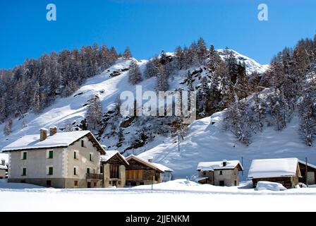 Dorf Isola am Sils See, auch Ziegendorf im Winter genannt, Schweiz, Graubünden, Oberengadin Stockfoto