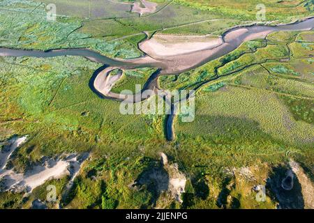 Het Zwin, verschlammte alte Flussmündung in die Nordsee, Luftaufnahme, Belgien, Flandern, Knokke-Heist Stockfoto