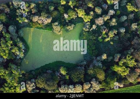 Bewaldeter Teich, Luftaufnahme, Belgien, Flandern, Diksmuide Stockfoto