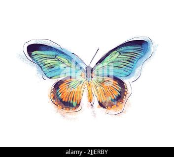 Aquarell Digital Painting of Tropical Butterfly auf weißem Hintergrund Stockfoto