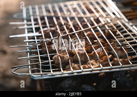 Grill wird bei einem Picknick verwendet, um Fleisch darauf zuzubereiten Stockfoto