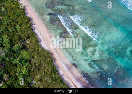 Blick aus der Vogelperspektive auf einen tropischen Strand mit klarem blauem Wasser am Dschungel. Stockfoto