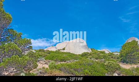 Große Felsen mit Bäumen und Sträuchern, die auf einem Hügel wachsen. Landschaft der wilden Natur des südafrikanischen Ökosystems mit grünen Pflanzen auf einem Berg im Sommer Stockfoto