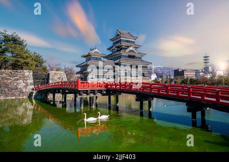 Schloss Mensumoto mit seiner Reflexion in Mensumoto, Präfektur Nagano, Japan bei Nacht mit Schwanen Stockfoto