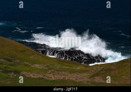 Ein Blick von der Promenade der brechenden Wellen auf Felsen in der Nähe der Nobbies auf Phillip Island, Victoria, Australien. Bass Strait ist berühmt für raue Meere. Stockfoto