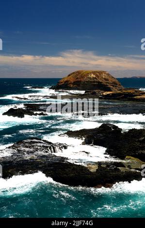 Die Nobbies befinden sich am westlichen Ende von Phillip Island in Victoria, Australien. Sie befinden sich neben der berühmten Pinguinparade und werden von der Bass Strait gezerstoßen. Stockfoto