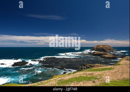 Die Nobbies befinden sich am westlichen Ende von Phillip Island in Victoria, Australien. Sie befinden sich neben der berühmten Pinguinparade und werden von der Bass Strait gezerstoßen. Stockfoto