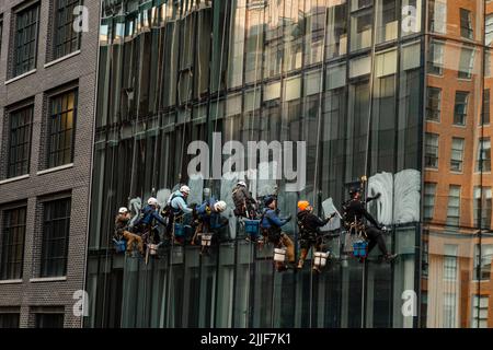 Industriekletterer waschen die Fenster eines modernen Wolkenkratzers. Stockfoto