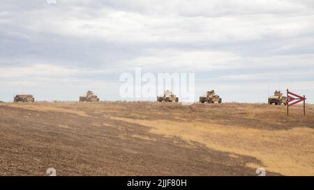 Soldaten der Arizona Army National Guard, die Delta Company, 1. Bataillon, 158. Infantry Regiment, 29. Infantry Brigade Combat Team zugewiesen wurden, verwenden das M240L Maschinengewehr, um Feuerunterstützung für eine simulierte Live-Fire-Mission während des Exportable Combat Training Capability (XCTC) Programms in Camp Roberts, Kalifornien, 18. Juli 2022 zu bieten. XCTC führte Lane-, situationsbezogene Trainingsübungen und professionell geführte leistungsorientierte After-Action-Berichte durch, um alle Schulungen zu überprüfen. (USA Foto der Armee-Nationalgarde von SPC. Casandra B. Ancheta) Stockfoto