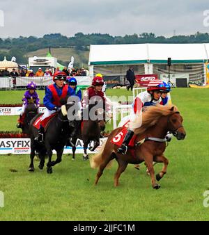 Junge Jockeys, die mit Geschwindigkeit eine Kurve umrunden, treten bei der Royal Lancashire Agricultural Show 2022 in einem Shetland Pony Grand National an Stockfoto