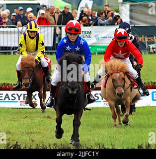 Vier junge Jockeys, die mit hoher Geschwindigkeit auf die Kamera zusteuern, treten auf der Royal Lancashire Agricultural Show 2022 in einem Shetland Pony Grand National an Stockfoto