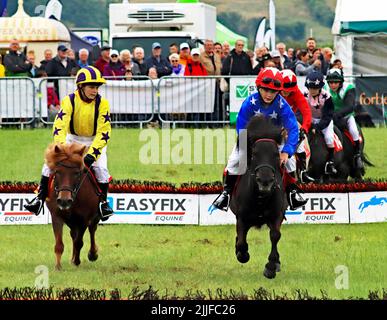 Zwei junge Jockeys, die bei einer Hitze des Shetland Pony Grand National auf der Royal Lancashire Agricultural Show 2022 mit Hals und Hals Rennen Stockfoto