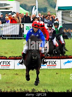 Das schwarze Pony führt das Feld mit einem jungen Jockey an Bord, der in Shetland Pony Grand National auf der Royal Lancashire Agricultural Show 2022 konkurriert Stockfoto