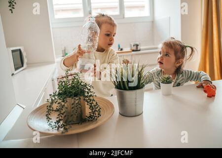 Zwei Kinder kümmern sich um Zimmerpflanzen in der Küche Stockfoto