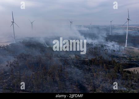 Falkenberg, Deutschland. 26.. Juli 2022. Rauchwolken driften während eines Waldbrands zwischen Windenergieanlagen am frühen Morgen über ein Waldgebiet. Die Feuerwehrleute in Brandenburg kämpfen weiterhin gegen einen großen Waldbrand im Elbe-Elster-Kreis. Seit Montag (25,07) brennt es auf einer Fläche von etwa 800 Hektar. Die ersten Bewohner mussten ihre Häuser verlassen. (Luftaufnahme mit Drohne) Quelle: Jan Woitas/dpa/Alamy Live News Stockfoto
