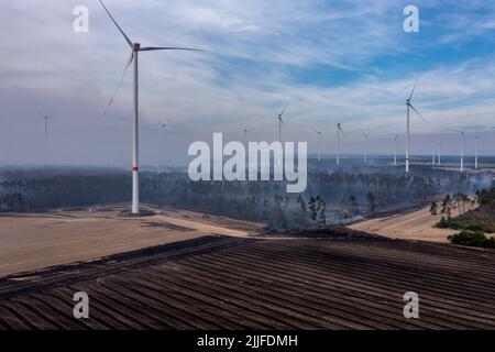 Falkenberg, Deutschland. 26.. Juli 2022. Rauchwolken driften während eines Waldbrands zwischen Windenergieanlagen am frühen Morgen über ein Waldgebiet. Die Feuerwehrleute in Brandenburg kämpfen weiterhin gegen einen großen Waldbrand im Elbe-Elster-Kreis. Seit Montag (25,07) brennt es auf einer Fläche von etwa 800 Hektar. Die ersten Bewohner mussten ihre Häuser verlassen. (Luftaufnahme mit Drohne) Quelle: Jan Woitas/dpa/Alamy Live News Stockfoto