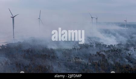 Falkenberg, Deutschland. 26.. Juli 2022. Rauchwolken driften während eines Waldbrands zwischen Windenergieanlagen am frühen Morgen über ein Waldgebiet. Die Feuerwehrleute in Brandenburg kämpfen weiterhin gegen einen großen Waldbrand im Elbe-Elster-Kreis. Seit Montag (25,07) brennt es auf einer Fläche von etwa 800 Hektar. Die ersten Bewohner mussten ihre Häuser verlassen. (Luftaufnahme mit Drohne) Quelle: Jan Woitas/dpa/Alamy Live News Stockfoto