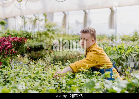 Glücklicher junger Mitarbeiter mit Down-Syndrom, der im Gartencenter arbeitet und sich um Blumen kümmert. Stockfoto