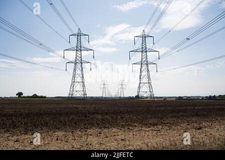 Stromleitungen, die vom Kernkraftwerk Sizewell über die Landschaft von Suffolk führen Stockfoto