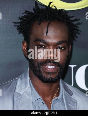 Hollywood, Usa. 25.. Juli 2022. HOLLYWOOD, LOS ANGELES, KALIFORNIEN, USA - 25. JULI: Der amerikanische Schauspieler William Jackson Harper kommt bei der Premiere von Los Angeles für die Originalserie „The Resort“ von Pfacock, UCP und Entertainment Weekly, die am 25. Juli 2022 im Hollywood Roosevelt Hotel in Hollywood, Los Angeles, Kalifornien, USA, stattfand. (Foto von Xavier Collin/Image Press Agency) Quelle: Image Press Agency/Alamy Live News Stockfoto