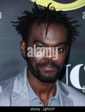 Hollywood, Usa. 25.. Juli 2022. HOLLYWOOD, LOS ANGELES, KALIFORNIEN, USA - 25. JULI: Der amerikanische Schauspieler William Jackson Harper kommt bei der Premiere von Los Angeles für die Originalserie „The Resort“ von Pfacock, UCP und Entertainment Weekly, die am 25. Juli 2022 im Hollywood Roosevelt Hotel in Hollywood, Los Angeles, Kalifornien, USA, stattfand. (Foto von Xavier Collin/Image Press Agency) Quelle: Image Press Agency/Alamy Live News Stockfoto