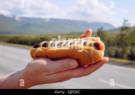 Mann Hand hält leckere lokale isländische Lebensmittel Hot Dog namens Pylsur im Freien in der Natur. Auch Pylsa oder PULSA genannt. Stockfoto